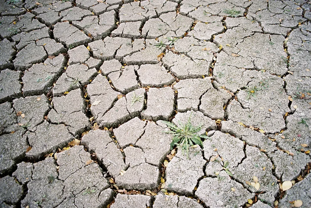 czNmcy1wcml2YXRlL3Jhd3BpeGVsX2ltYWdlcy93ZWJzaXRlX2NvbnRlbnQvbHIvYTAxMC1tYXJrdXNzcGlza2Utbm92MTgtMTA0ODRfMDAyLTAyNl8yOG1tX2tvZGFrX3BvcnRyYV80MDAuanBn